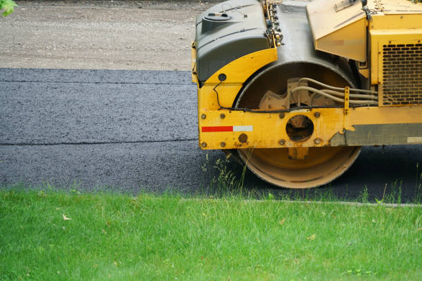 Best Driveway Paving Contractor  in Beechwood, MI