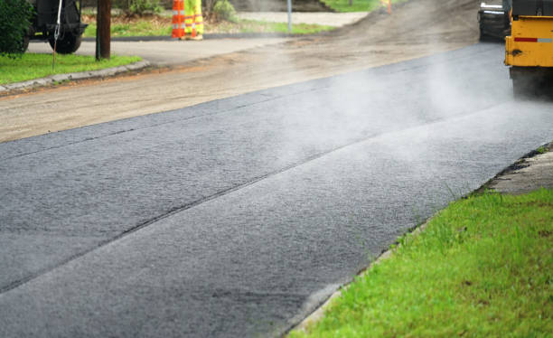 Best Driveway Paving Contractor  in Beechwood, MI